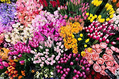 消息称《荒野大镖客2》和初代都将推出强化版